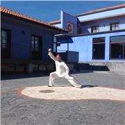 Doy Clases de Taichi y sus diferentes áreas de interés (Chi Kung, Tui Shou) para todos los niveles para adultos. Kung Fu para niños, jóvenes y adultos